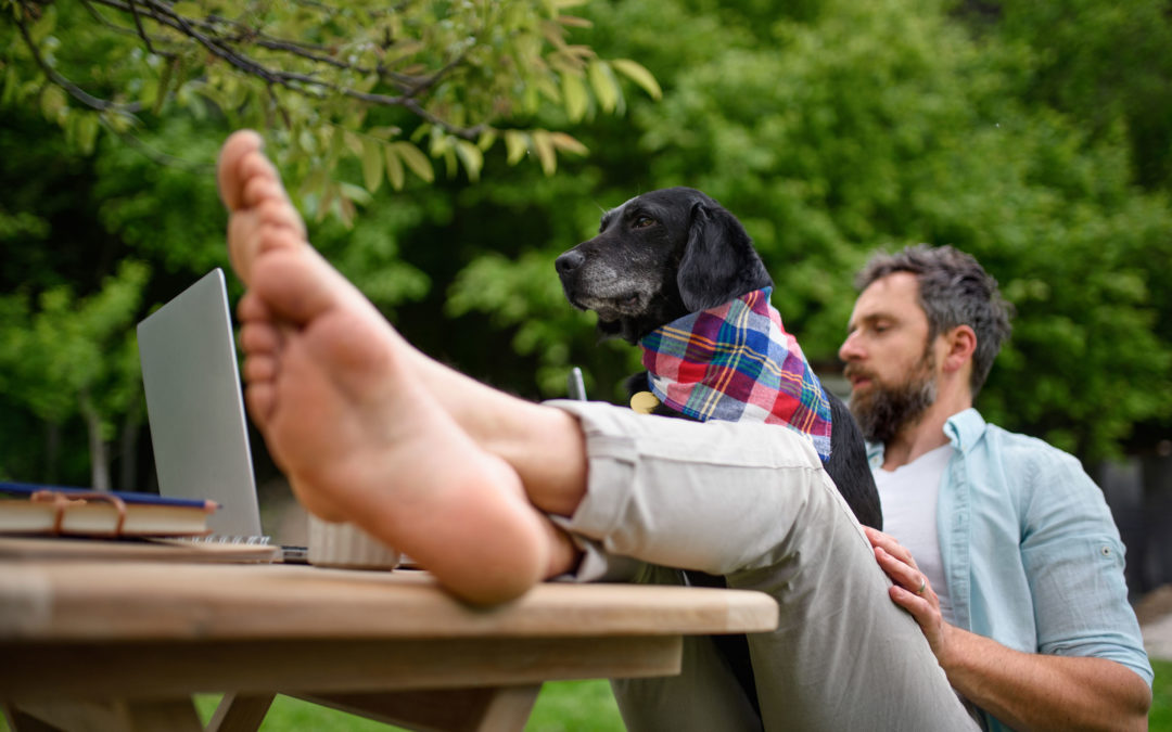 mature-man-with-laptop-and-dog-working-outdoors-in-QRAS5CA