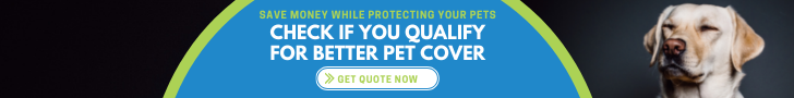 Cover Search get quote for pet insurance banner leaderboard advertisement