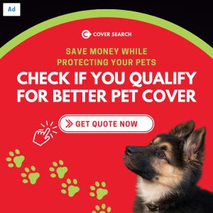 Cover Search Pet Health Status_square banner ad_(300 x 300 px)_1