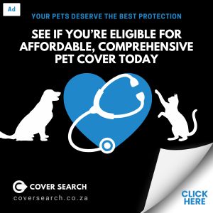 Cover Search Pet Health Status_square banner ad_(300 x 300 px)_2