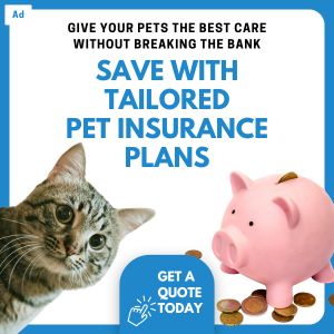 Cover Search Pet Health Status_square banner ad_(300 x 300 px)_3