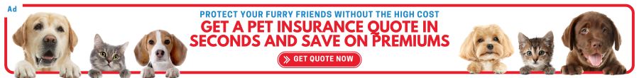 Cover Search Pet_Leaderboard Advert _900 x 110 px_Get Pet Insurance_canva_5